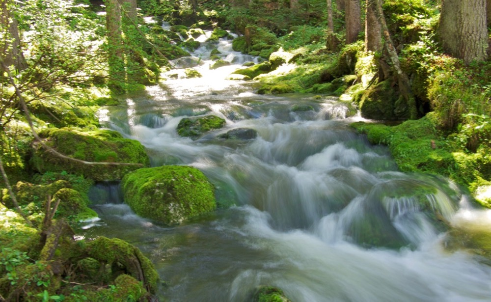 Ein Bach mit langer Belichtung photographiert