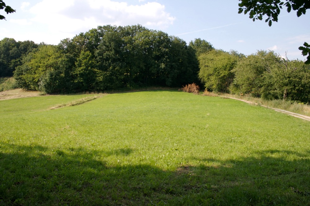 Meadow before the construction work