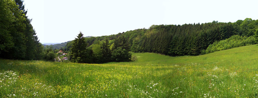 View into the valley of Hochst&auml;dten from the Garten of Freedom