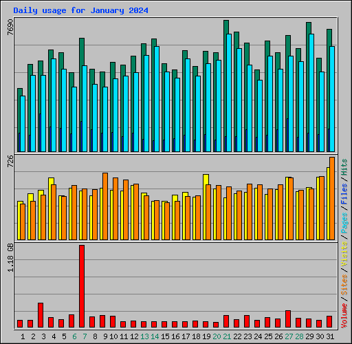 Daily usage for January 2024