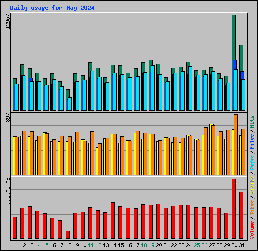 Daily usage for May 2024