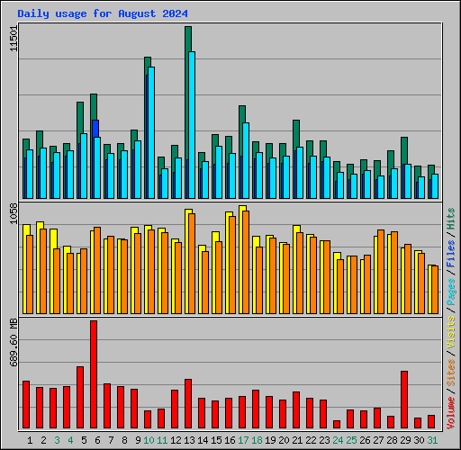 Daily usage for August 2024