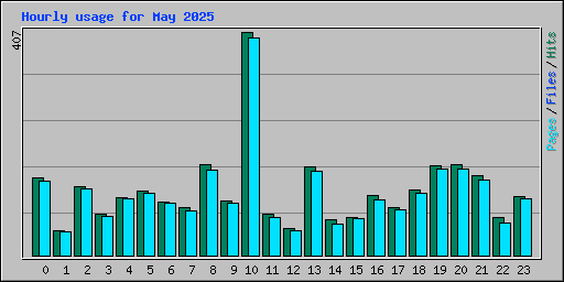 Hourly usage for May 2025