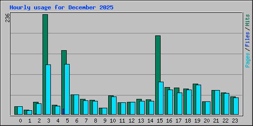 Hourly usage for December 2025