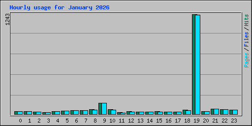 Hourly usage for January 2026