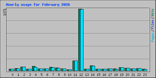 Hourly usage for February 2026