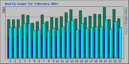 Hourly usage for February 2024