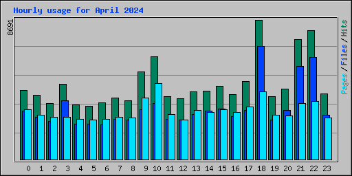 Hourly usage for April 2024