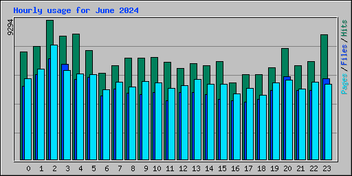 Hourly usage for June 2024