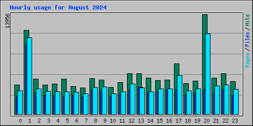 Hourly usage for August 2024