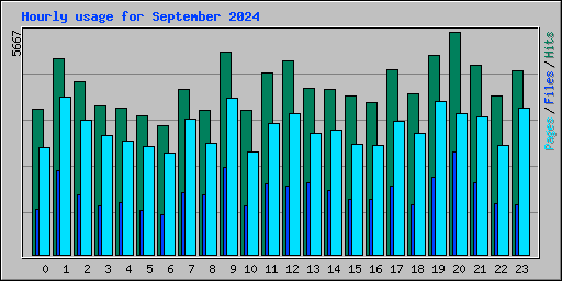 Hourly usage for September 2024