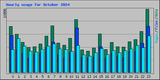 Hourly usage for October 2024