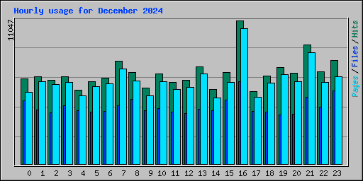 Hourly usage for December 2024