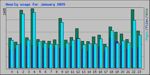 Hourly usage for January 2025