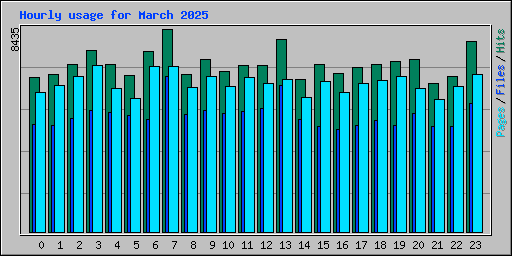 Hourly usage for March 2025