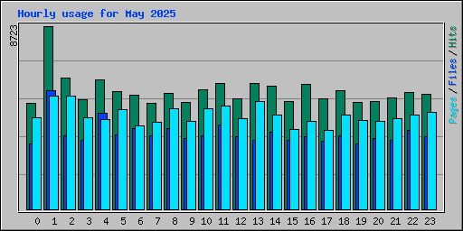 Hourly usage for May 2025