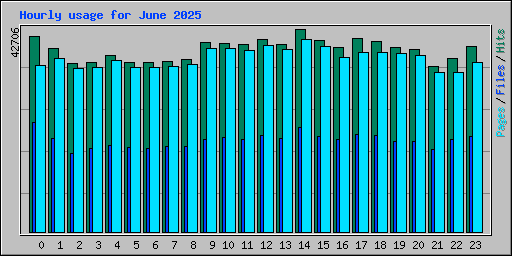 Hourly usage for June 2025