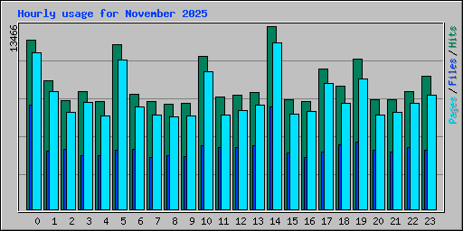 Hourly usage for November 2025
