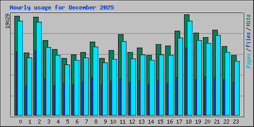 Hourly usage for December 2025