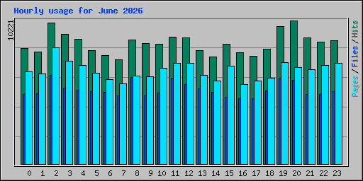 Hourly usage for June 2026