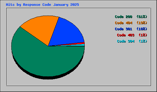 Hits by Response Code January 2025