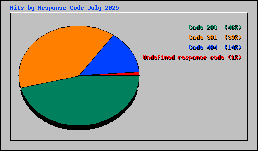 Hits by Response Code July 2025